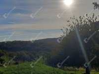 Eladó telek, Zalaegerszegen 10.9 M Ft / költözzbe.hu