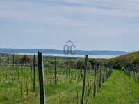 Eladó telek, Balatoncsicsón 47 M Ft / költözzbe.hu