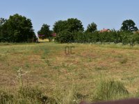 Eladó telek, Újlengyelen 19.99 M Ft / költözzbe.hu