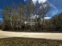 Eladó mezogazdasagi ingatlan, Dabason 120 M Ft
