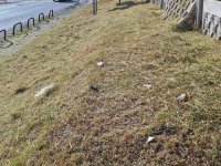 Eladó telek, Pilisjászfalun, Bécsi úton 16.5 M Ft