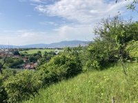 Eladó telek, Pécsett, Nagypostavölgy alsó 7.9 M Ft