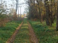 Eladó telek, Pusztavacson 7.5 M Ft / költözzbe.hu