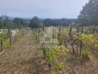 Eladó mezogazdasagi ingatlan, Magyarpolányban 9.9 M Ft