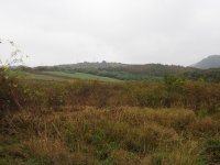 Eladó mezogazdasagi ingatlan, Egerben 6.5 M Ft