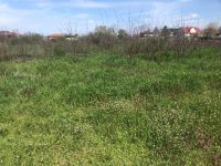 Eladó telek, Vásárosnaményben 19.5 M Ft / költözzbe.hu
