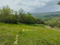 Eladó mezogazdasagi ingatlan, Szekszárdon 5 M Ft
