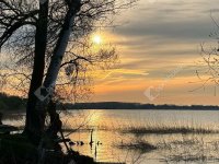 Eladó hotel, Balatonberényben 51.5 M Ft, 4 szobás