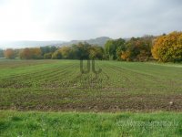 Eladó mezogazdasagi ingatlan, Vecsésen 37.65 M Ft