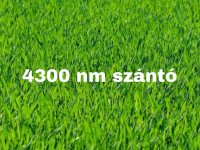 Eladó mezogazdasagi ingatlan, Szatymazon 1.9 M Ft
