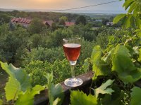 Eladó nyaraló, Siófokon 31 M Ft, 1 szobás / költözzbe.hu