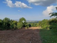 Eladó telek, Bazsiban 9.9 M Ft / költözzbe.hu