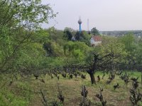 Eladó telek, Mányon 5.5 M Ft / költözzbe.hu