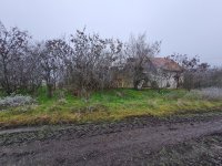 Eladó mezogazdasagi ingatlan, Tiszajenőn 2 M Ft