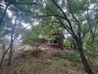 Eladó mezogazdasagi ingatlan, Kunadacson 4.9 M Ft