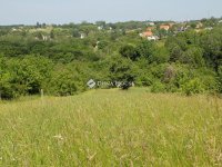 Eladó telek, Felsőpáhokon 12 M Ft / költözzbe.hu