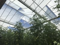 Eladó mezogazdasagi ingatlan, Kiskunfélegyházán 815 M Ft