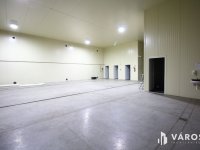 Kiadó ipari ingatlan, Hódmezővásárhelyen 900 E Ft / hó