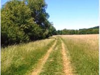 Eladó mezogazdasagi ingatlan, Balatonszőlősön 7.5 M Ft