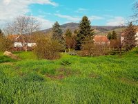 Eladó telek, Tokajban 12.9 M Ft / költözzbe.hu