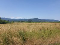 Eladó mezogazdasagi ingatlan, Markazon 3.5 M Ft