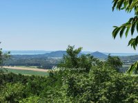 Eladó mezogazdasagi ingatlan, Gyulakeszin 35 M Ft