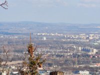 Eladó telek, III. kerületben 180 M Ft / költözzbe.hu