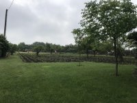Eladó mezogazdasagi ingatlan, Szentesen 6.9 M Ft, 1 szobás