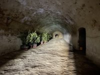 Eladó mezogazdasagi ingatlan, Kölesden 50 M Ft