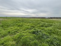 Eladó telek, Nemesbükön 6.5 M Ft / költözzbe.hu