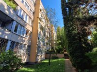 Kiadó téglalakás, albérlet, II. kerületben 250 E Ft / hó