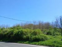 Eladó telek, Salgótarjánban 21.5 M Ft / költözzbe.hu