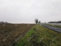 Eladó mezogazdasagi ingatlan, Sármelléken 10.5 M Ft