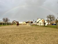 Eladó családi ház, Pusztaszemesen 74.9 M Ft, 3 szobás