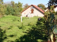 Eladó mezogazdasagi ingatlan, Hajóson 12 M Ft