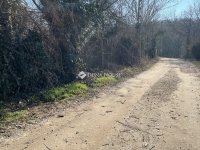 Eladó telek, Budakeszin 55 M Ft / költözzbe.hu