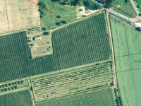 Eladó mezogazdasagi ingatlan, Balatonlelleén 89 M Ft