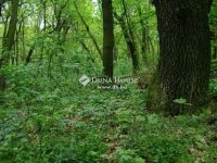 Eladó telek, Regenyén 3.5 M Ft / költözzbe.hu
