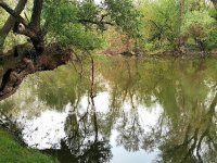Eladó telek, Győrött 21 M Ft / költözzbe.hu