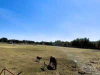 Eladó telek, Vecsésen 170 M Ft / költözzbe.hu