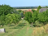 Eladó családi ház, Siófokon 130 M Ft, 3 szobás