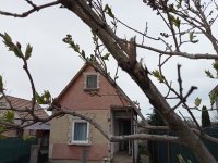 Eladó családi ház, Oroszlányban, Német dűlőn 8.6 M Ft