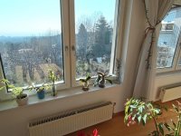 Kiadó téglalakás, albérlet, XII. kerületben 700 E Ft / hó