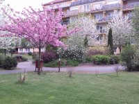 Kiadó téglalakás, albérlet, X. kerületben 165 E Ft / hó
