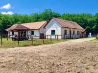 Eladó mezogazdasagi ingatlan, Felsőpakonyban 238 M Ft