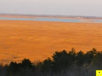 Eladó családi ház, Fertőbozon 84 M Ft, 3 szobás