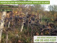 Eladó mezogazdasagi ingatlan, Keréktelekin 0.75 M Ft