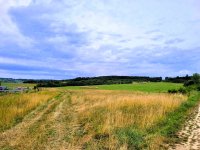 Eladó mezogazdasagi ingatlan, Balatoncsicsón 15 M Ft