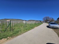 Eladó telek, Pécsett 29.5 M Ft / költözzbe.hu