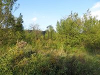 Eladó mezogazdasagi ingatlan, Nagykovácsiban 15 M Ft